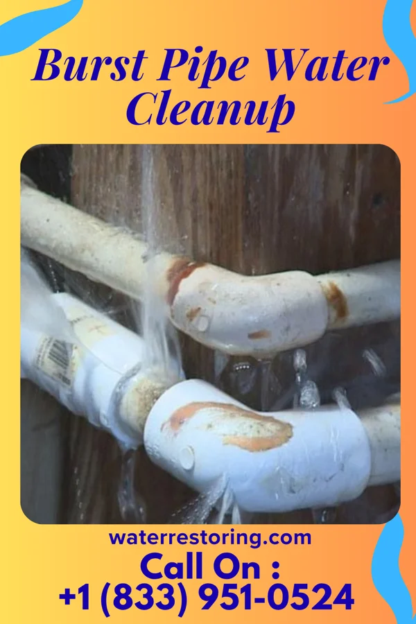 Burst Pipe Water Cleanup in Nanticoke Acres, MD